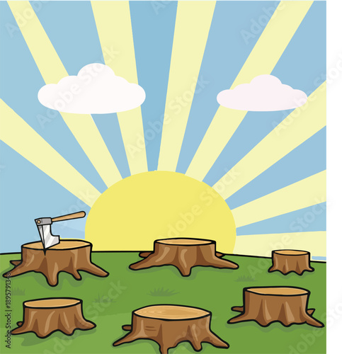 Forest Conservation and Environmental Awareness