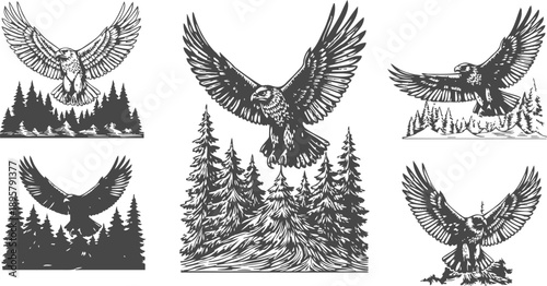 Eagle flying above forest silhouettes wild bird wings spread in various natural landscape scenes