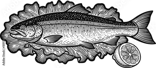 Fresh whole fish on lettuce leaf with lemon slice, detailed vintage engraving