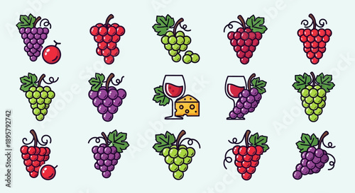 Grape Variety Icons Set. Vector Illustration