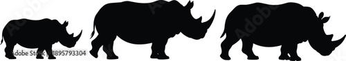 Rhinoceros silhouettes walking and standing poses, strong wild African mammals, black minimal flat vector illustration isolated on white