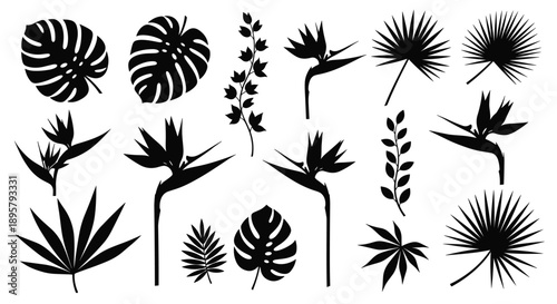 Selection of various tropical plant silhouettes including monstera, palm fronds, and bird of paradise flowers, depicting an exotic jungle theme.