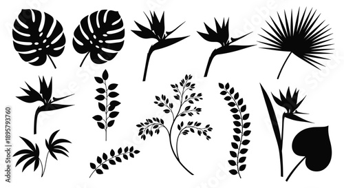 Collection of various tropical leaf and flower silhouettes including monstera and bird of paradise, perfect for exotic botanical design projects.