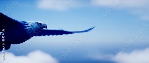Wallpaper Mural Majestic Eagle Soaring Through Blue Sky: Freedom, Wildlife, and Nature's Beauty Torontodigital.ca