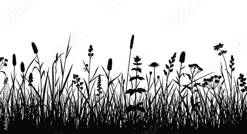 Detailed black silhouette of wild grasses and meadow flowers against a white background forming a natural landscape border.