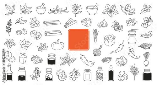 Extensive set of culinary line icons featuring herbs spices bottles vegetables and kitchen tools for food design.