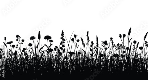 Dense horizontal silhouette of a summer meadow field filled with various tall wild flowers and thick garden grass.