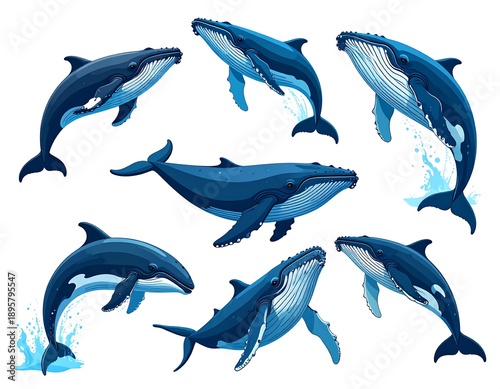 Collection of detailed, colorful whale illustrations, some leaping, against a clean white background