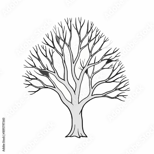 Stylized symmetrical bare tree line art vector for decorative and graphic design use