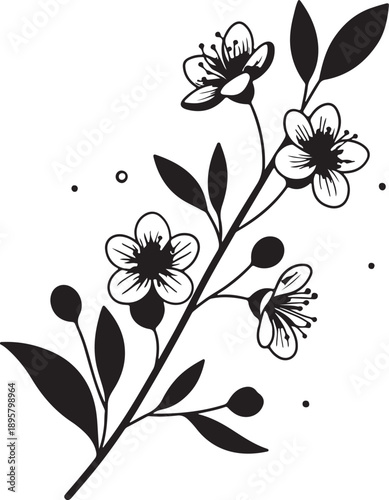 Branch adorned with delicate star-shaped flowers and leaves, rendered in a refined line art style for spring and floral design.