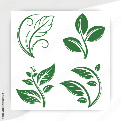  tree leaves vector, Green Leaf Eco Nature Icons Set Organic Plant Vector Collection, leaves on white background vector illustration,green beech tree leaves,
