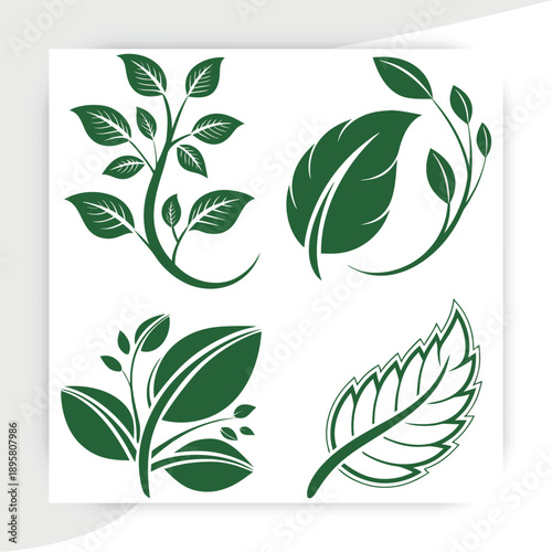  tree leaves vector, Green Leaf Eco Nature Icons Set Organic Plant Vector Collection, leaves on white background vector illustration,green beech tree leaves,