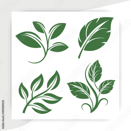  tree leaves vector, Green Leaf Eco Nature Icons Set Organic Plant Vector Collection, leaves on white background vector illustration,green beech tree leaves,