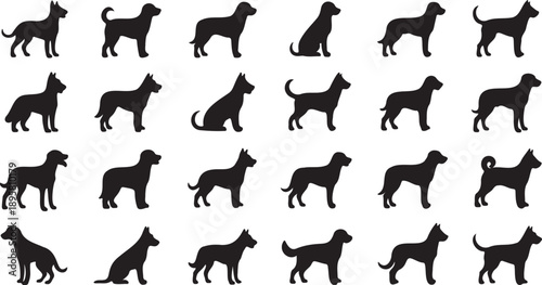 Vector black dog silhouettes set in various poses, walking, sitting, standing, running, isolated on white