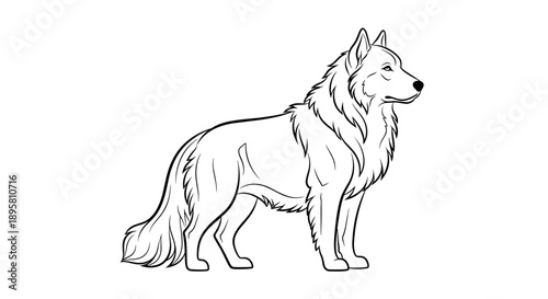 Elegant black and white line drawing of a long haired dog standing in profile on a white background for pet art.