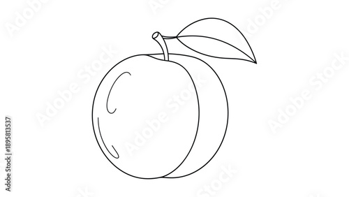 Simple line art drawing of a round plum fruit with its stem and a single leaf shown against a plain white background.