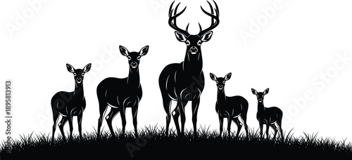 Deer family silhouette with stag and fawns standing on grass, black and white vector wildlife illustration for nature design