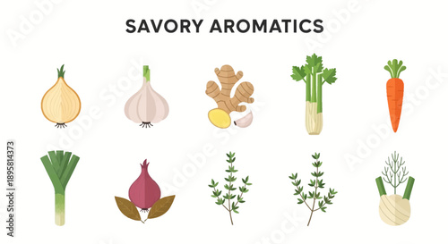 Flat vector illustrations of ten savory aromatic ingredients arranged in two rows