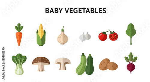Graphic illustration featuring ten types of baby vegetables arranged in two rows