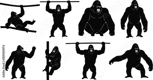 Black and white gorilla silhouette collection with climbing, hanging and standing poses, powerful primate wildlife vector illustration isolated on white background