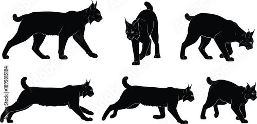 Black and white lynx silhouette collection showing walking stalking and jumping poses, powerful wild cat wildlife vector illustration isolated on white background