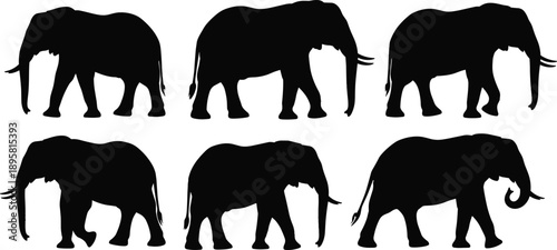 Elephant silhouettes collection showing multiple walking poses wildlife animal shapes flat black vector illustration set isolated on white background for design, logo, and decoration use