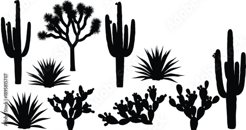 Black cactus silhouette set featuring desert plants agave and Joshua tree vector icons isolated on white background nature illustration collection