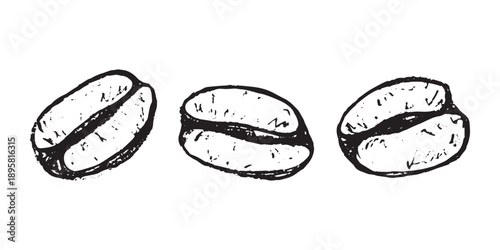 Set of hand drawn fresh roasted coffee bean Arabica robusta seed doodle Single element for design print packaging label decor