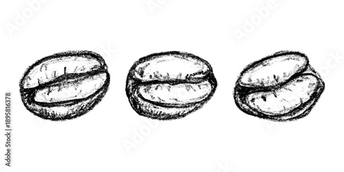 Set of hand drawn fresh roasted coffee bean Arabica robusta seed doodle Single element for design print packaging label decor