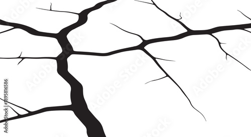 Black tree branches on white background minimalist illustration