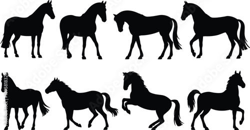 Set of black horse silhouettes in various walking, standing, and running poses, elegant equine animal icons isolated on white background for logo, design, and illustration use
