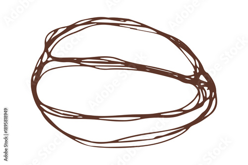 Hand drawn fresh roasted coffee bean Arabica robusta seed doodle Single element for print, web, design, decor