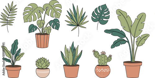 Hand Drawn Potted Houseplants Illustration Set with Monstera Cactus and Succulents Isolated on White Background