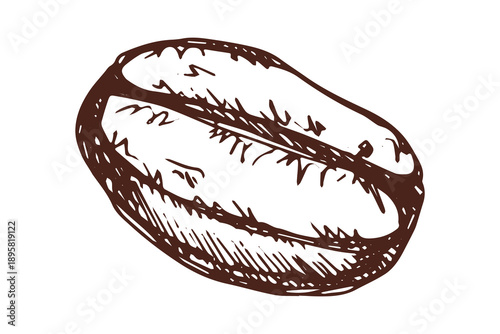Hand drawn fresh roasted coffee bean Arabica robusta seed doodle Single element for print, web, design, decor