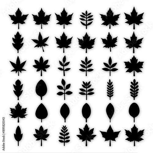 Black and white leave vector desgine
