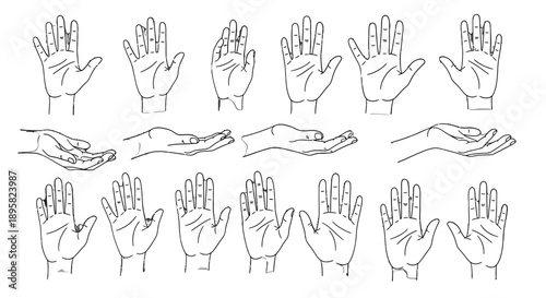 Collection of hand gestures and palm illustrations in various positions.