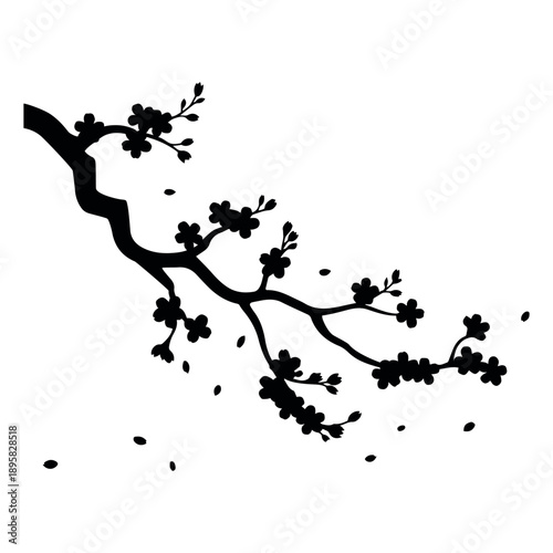 Elegant cherry blossom branch silhouette with falling petals on transparent background