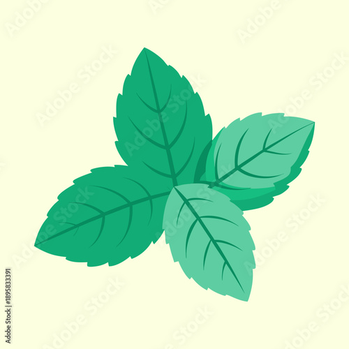 Vibrant mint leaves in a simple vector graphic with calming green tones