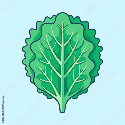 Cartoon style illustration of a beautiful vibrant green butter lettuce head