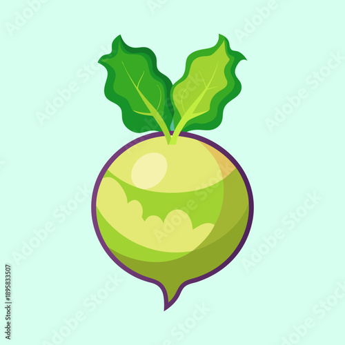 Stylized vector illustration of a kohlrabi plant with a simple background