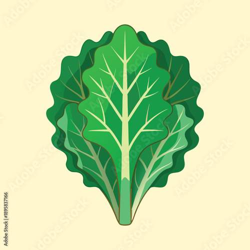 Illustration of vibrant green leaves of swiss chard on a pale background