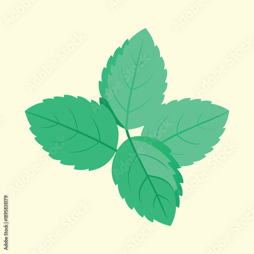 Four green mint leaves arranged symmetrically on a soft yellow background