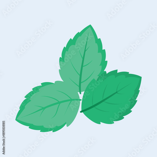 Stylized illustration of three fresh green mint leaves on light background