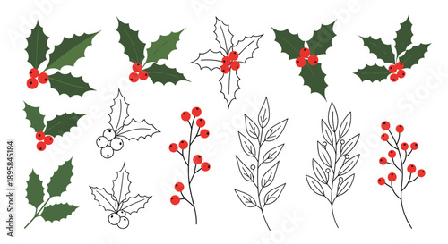 Botanical set of holly branches and red berry clusters in both full color and black and white line art styles for winter decor.