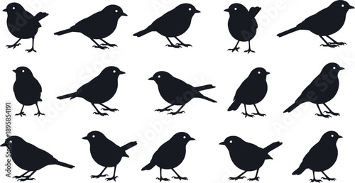 Bird Silhouette Vector Set with Small Perching Birds in Different Poses for Wildlife Icons, Nature Graphics, Logos, and Decorative Design Projects