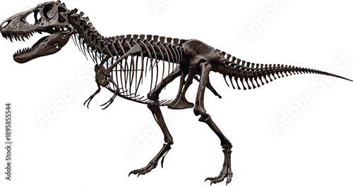 Tyrannosaurus Rex Dinosaur Skeleton Illustration Side View with Detailed Bones Prehistoric Fossil Anatomy Vector for Science, Education, and Museum Designs