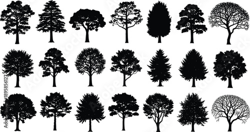 Black tree silhouettes collection isolated on white background, diverse forest species set for landscaping, nature design and illustration