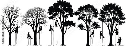 Silhouette arborists climbing trees, rope access workers performing professional tree care, forestry maintenance service, black vector illustration set, collection design