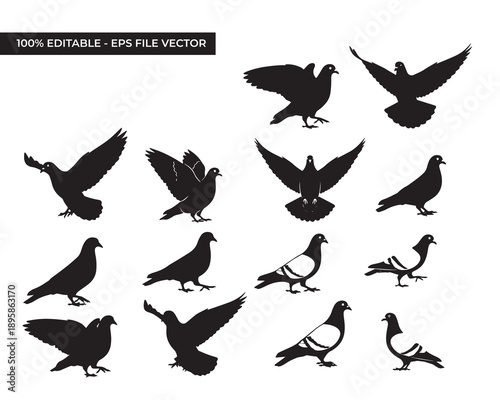 Collection of pigeons in various flight positions and silhouettes against a clean background