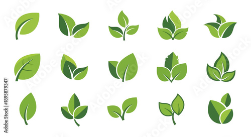 Green Leaf Vector Set for Eco and Nature Concepts